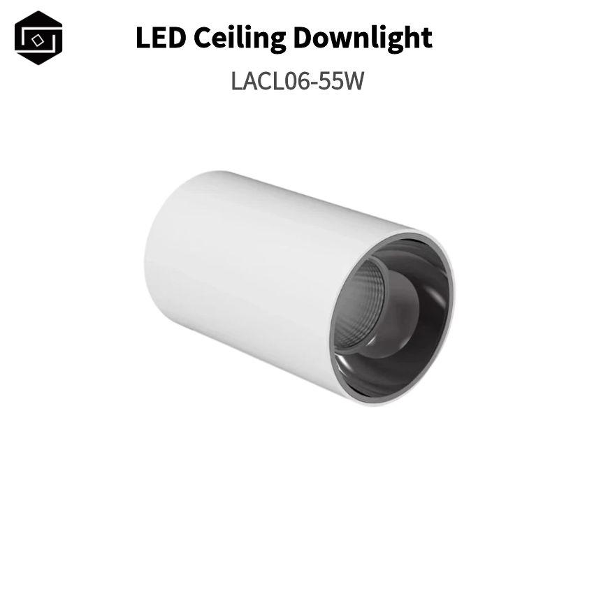 LED Surface Mounted Fixed 55W Outdoor IP65 Ceiling Downlight