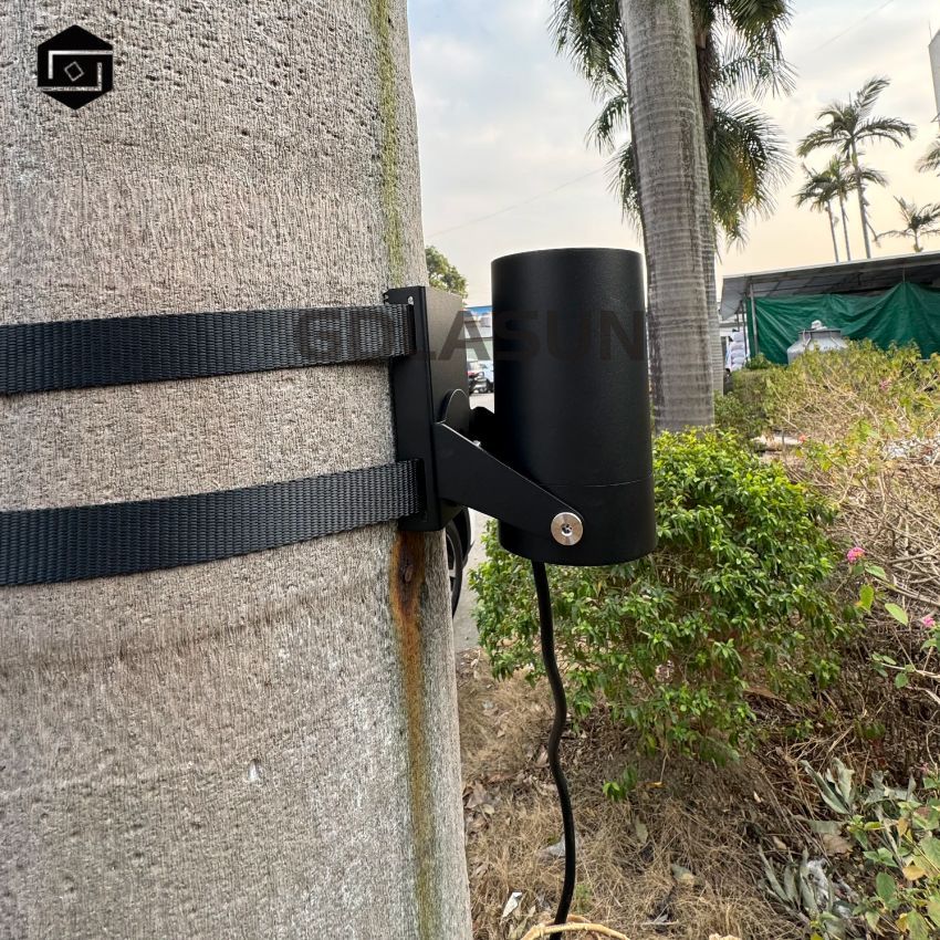 1737515577227873.jpg 2.jpg