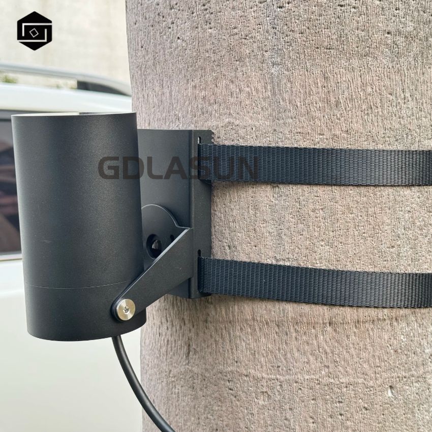 1737515605152546.jpg 4.jpg