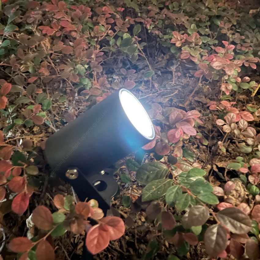 LED garden light 10W (3).jpg