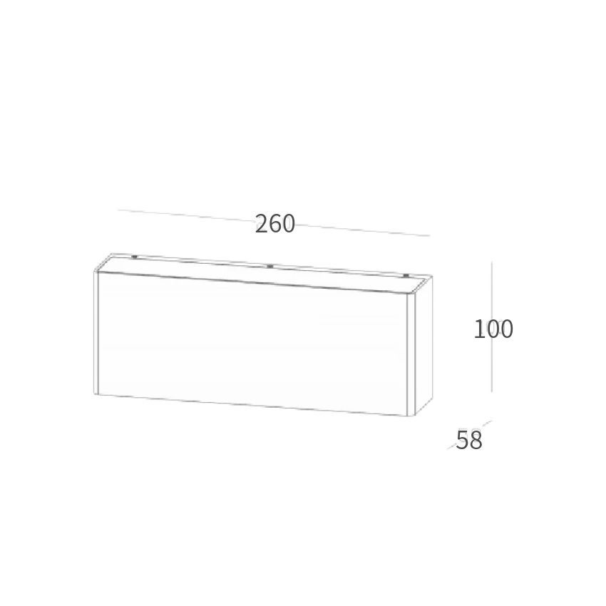 LED outdoor wall light 10W- (1).jpg