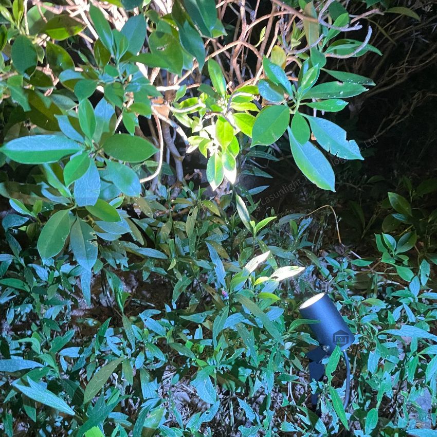 garden spike light 10W.jpg